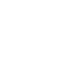 Dineflix Logo